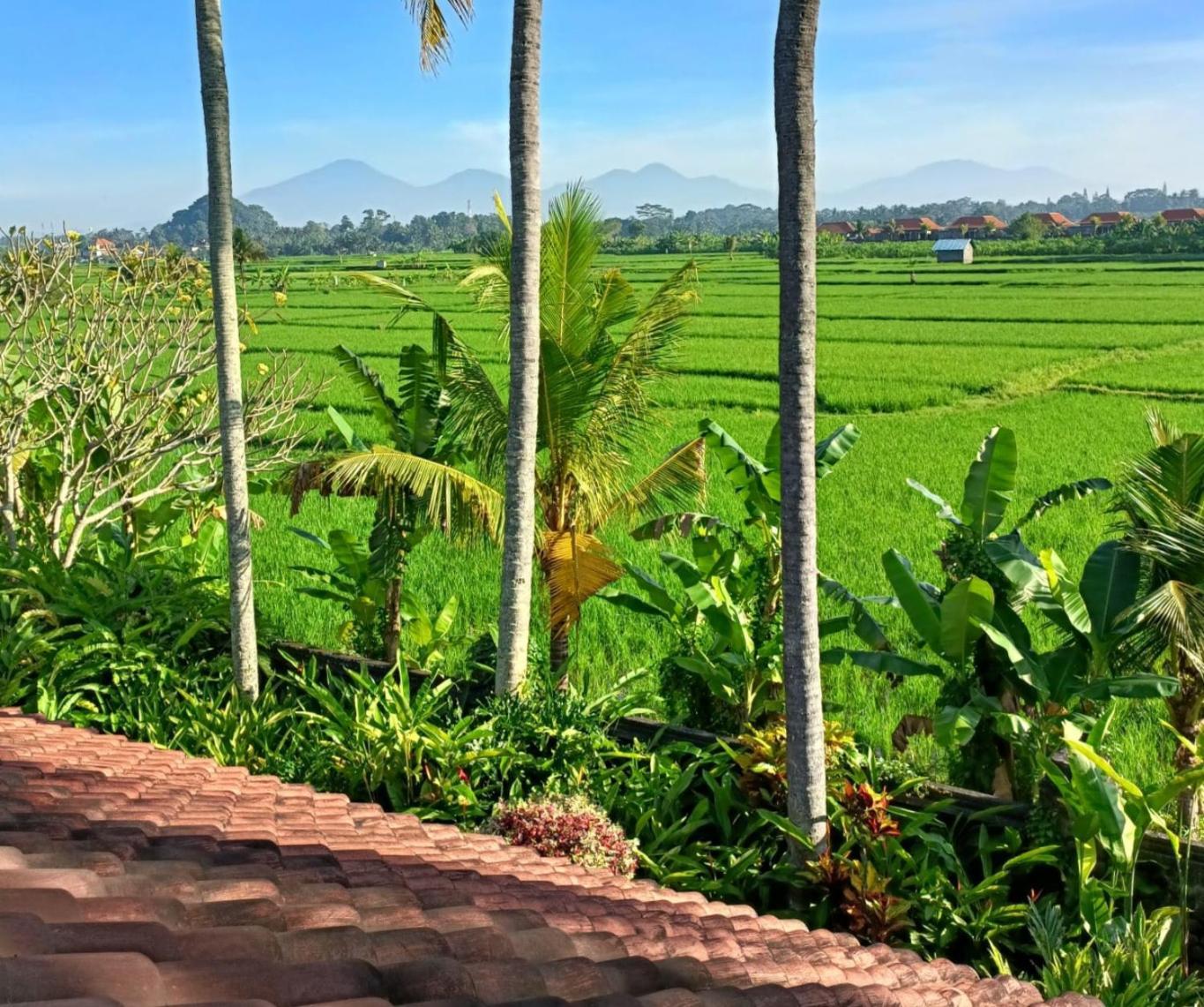 Runa House Of Design Ubud Esterno foto