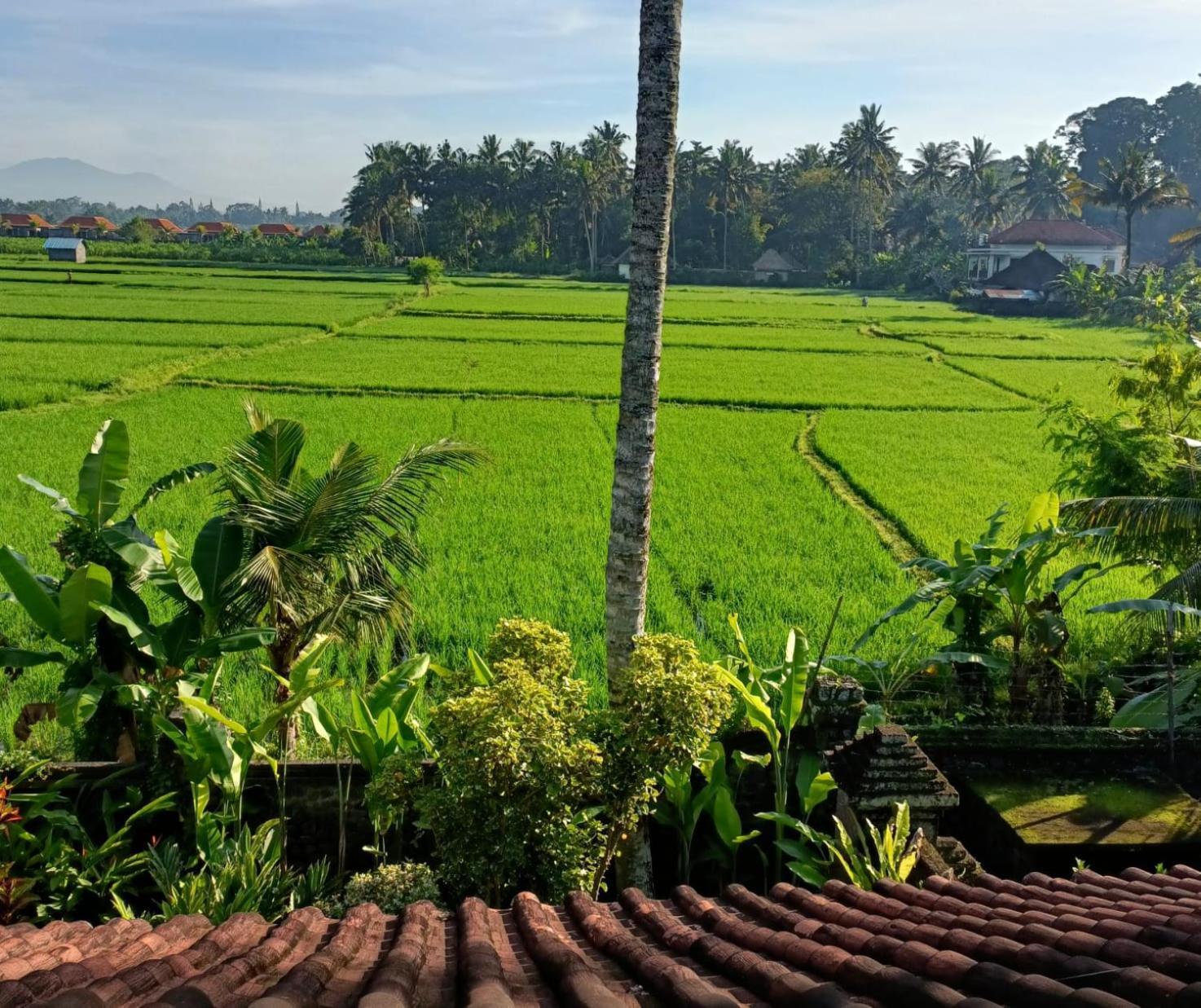 Runa House Of Design Ubud Esterno foto
